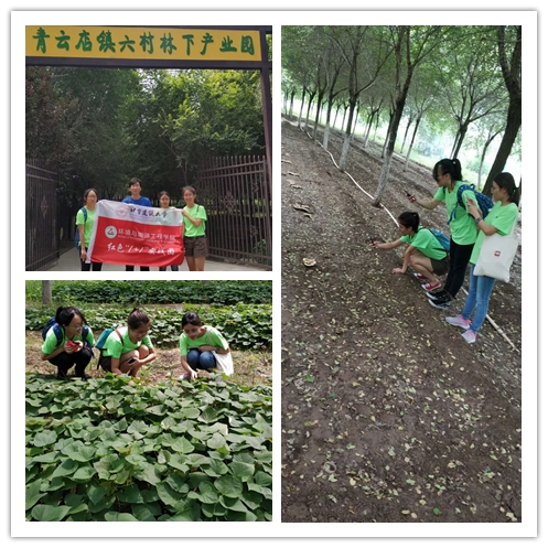 ��������ҳ��