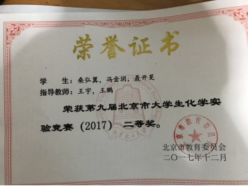 ��������ҳ��