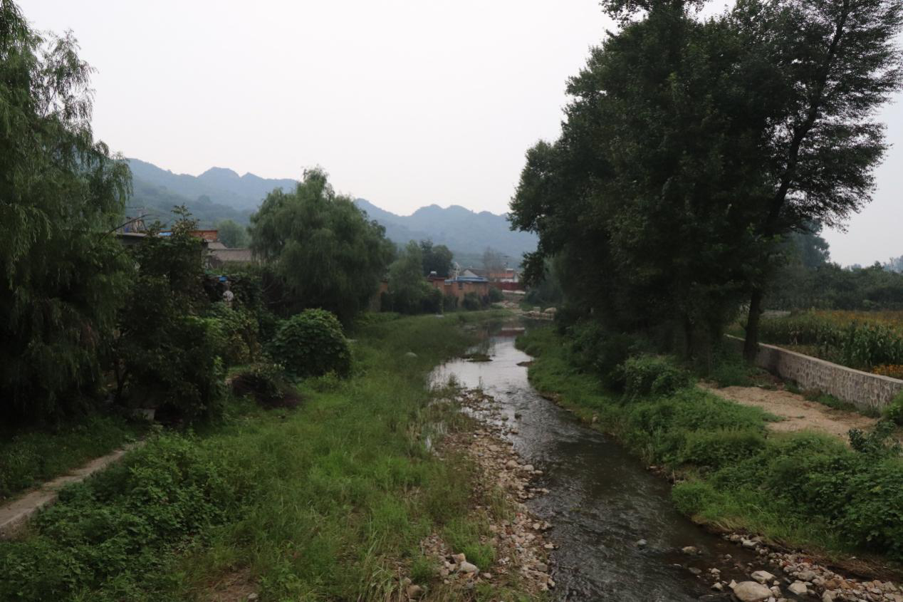 ��������ҳ��