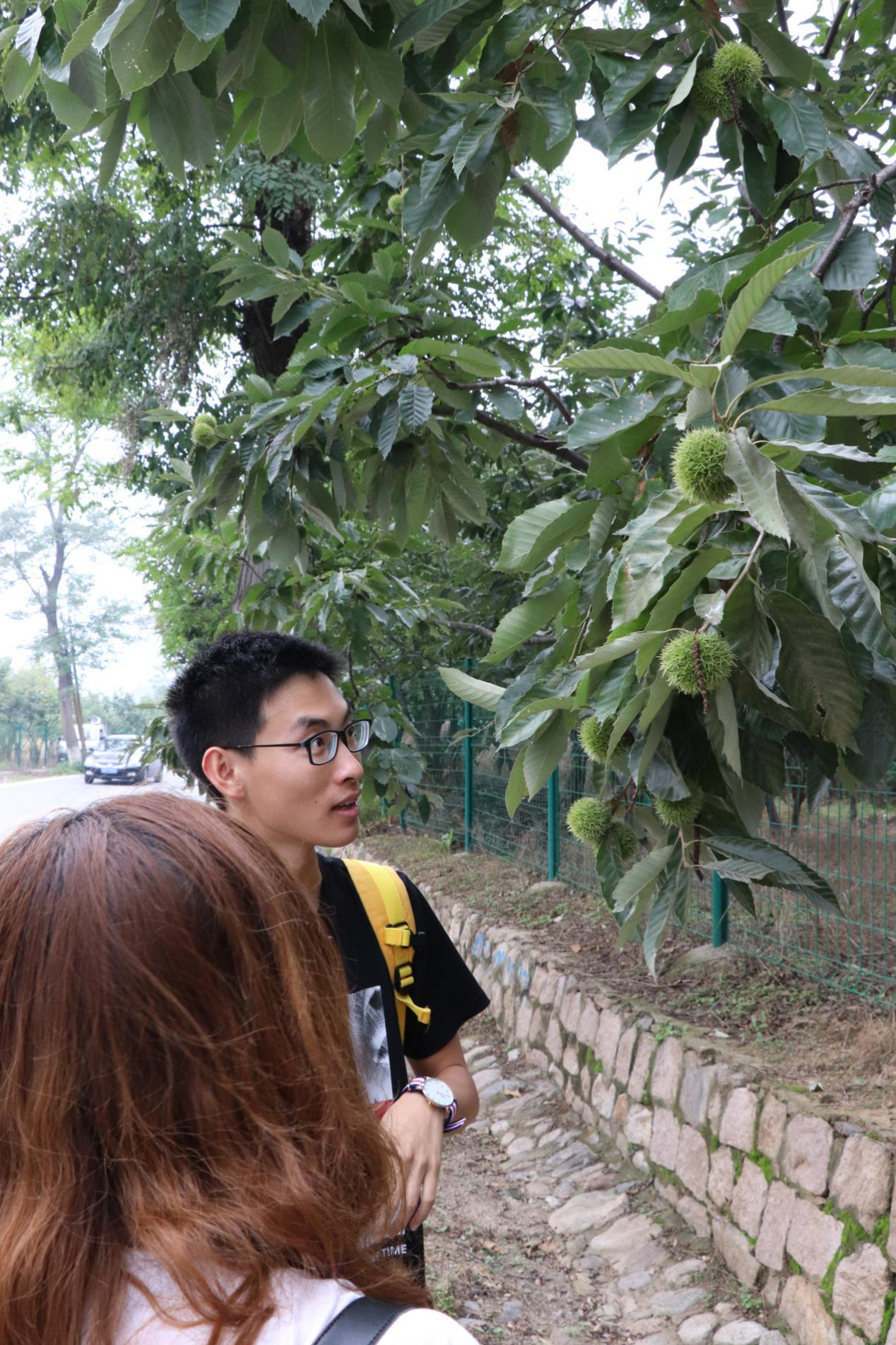 ��������ҳ��