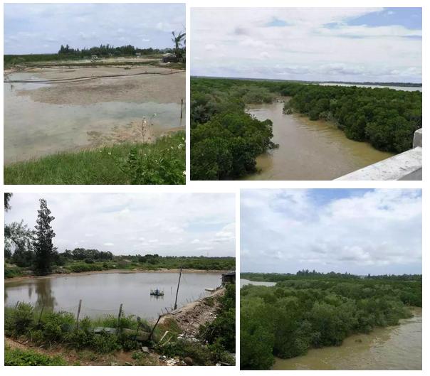 ��������ҳ��