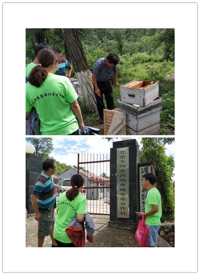 ��������ҳ��