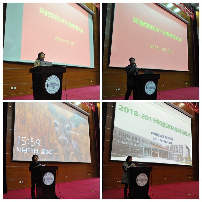 ��������ҳ��